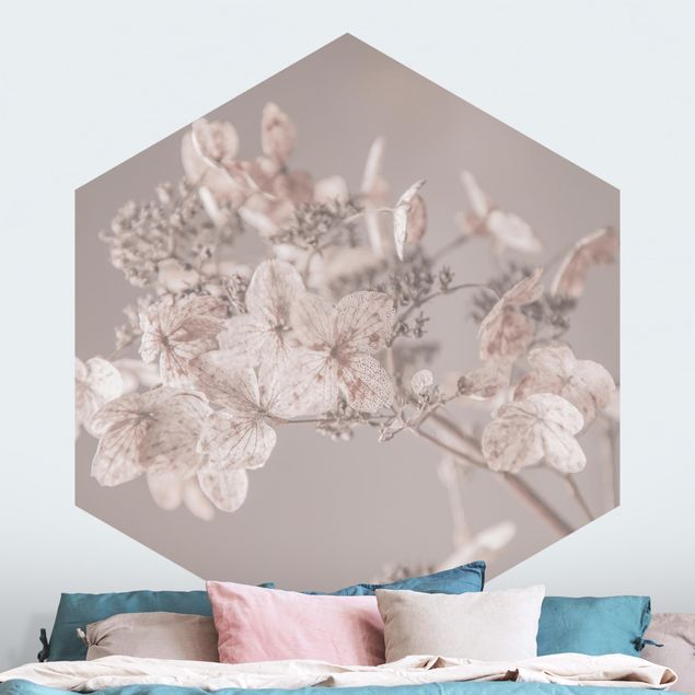 Wallpapers Delicate White Hydrangea