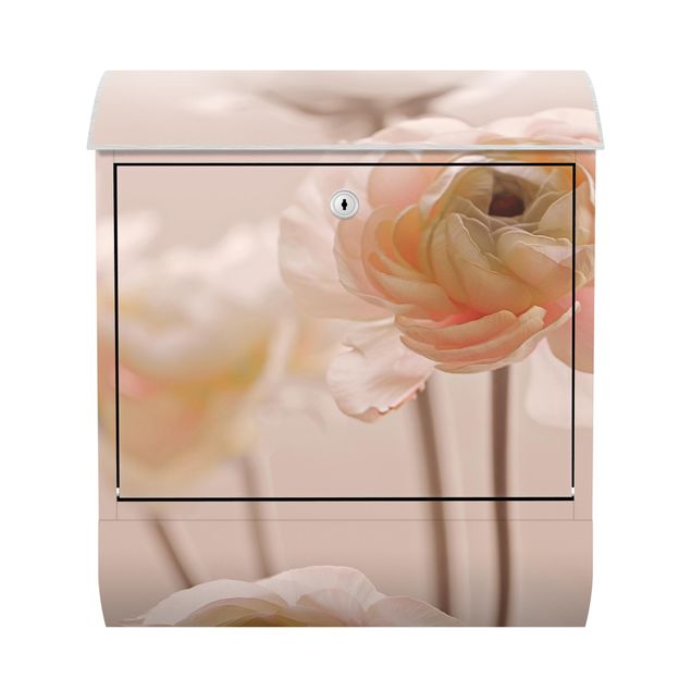 Letterbox - Delicate Bouquet Of Light Pink Flowers