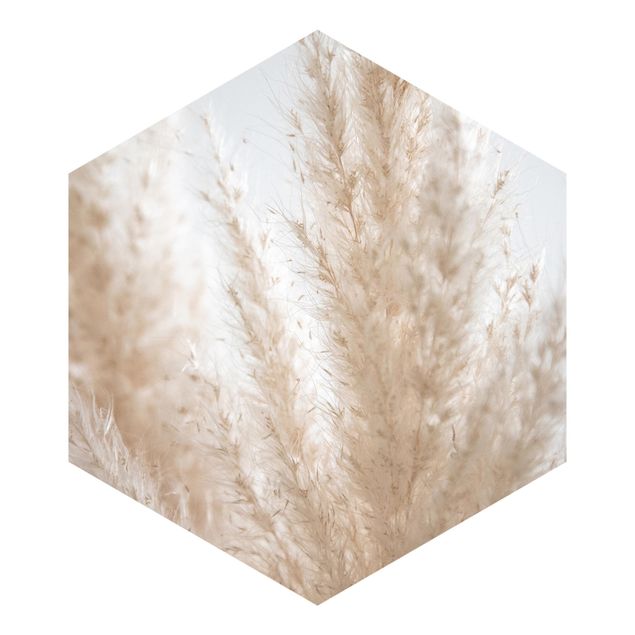 Self-adhesive hexagonal pattern wallpaper - Delicate Pampas Grass Close Up
