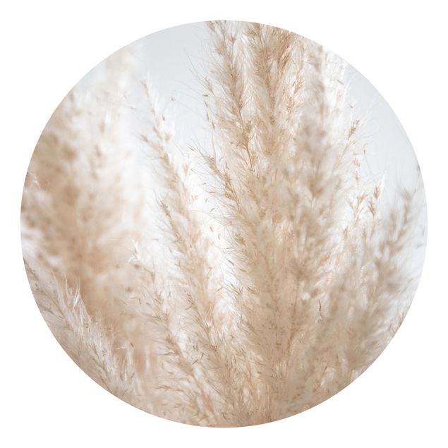 Self-adhesive round wallpaper - Delicate Pampas Grass Close Up
