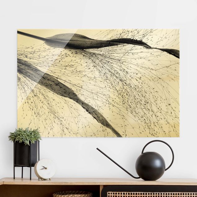 Glass print - Delicate Reed With Small Buds Black And White - Landscape format