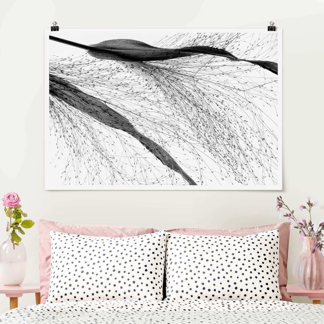 Poster - Delicate Reed With Subtle Buds Black And White