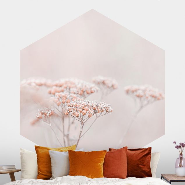 Wallpapers Pale Pink Wild Flowers