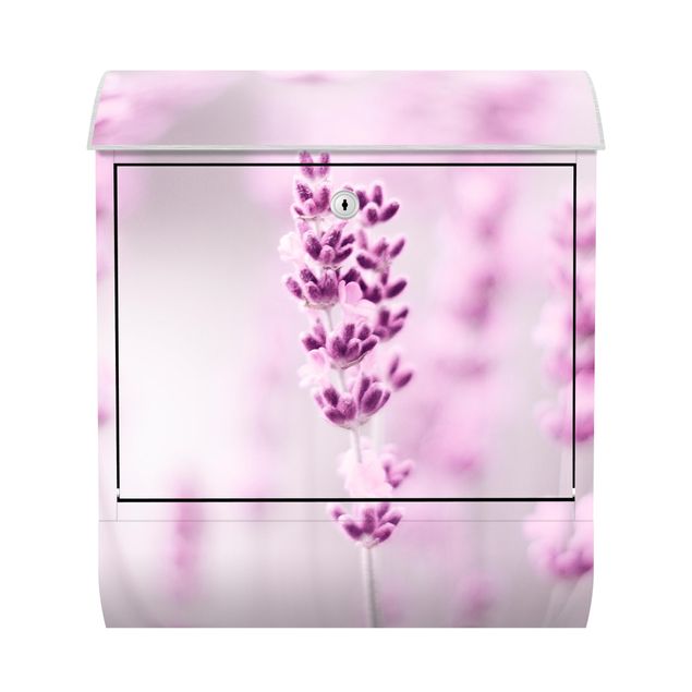Letterbox - Pale Purple Lavender