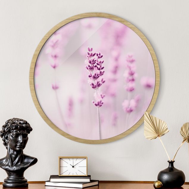 Framed prints round Pale Purple Lavender