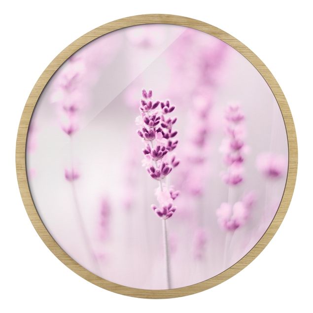 Circular framed print - Pale Purple Lavender