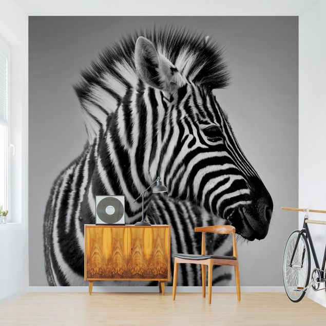Wallpapers Zebra Baby Portrait II