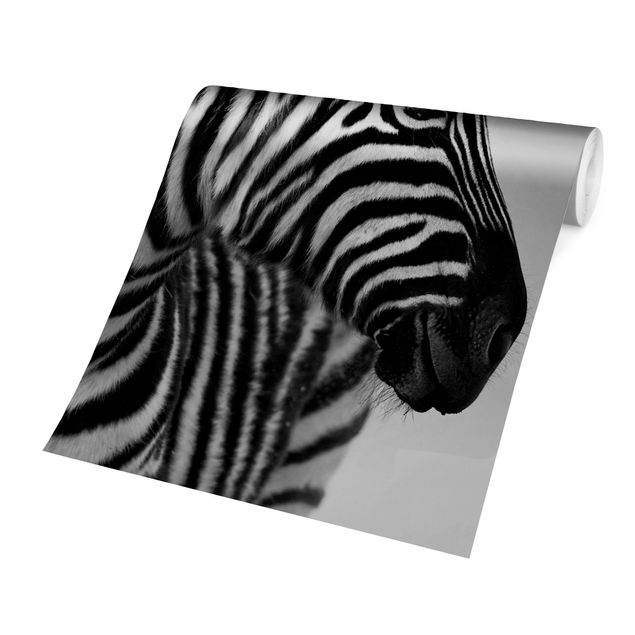 Wallpaper - Zebra Baby Portrait II