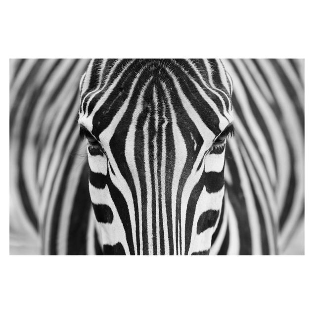 Wallpaper - Zebra Look