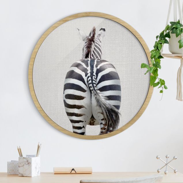 Framed prints round Zebra From Behind
