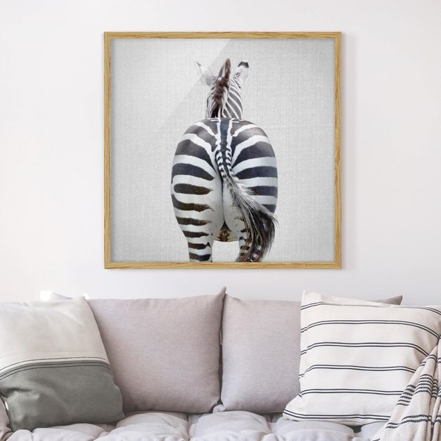 Framed poster - Zebra From Behind