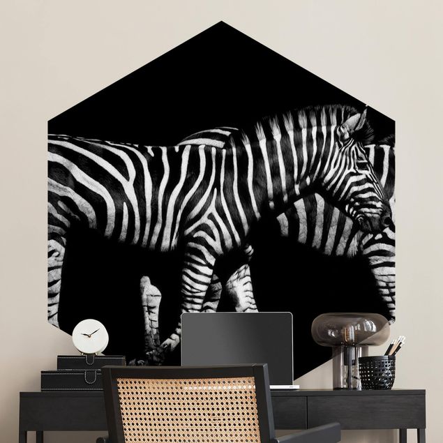 Wallpapers Zebra In The Dark