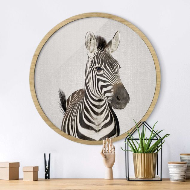 Framed prints round Zebra Zilla