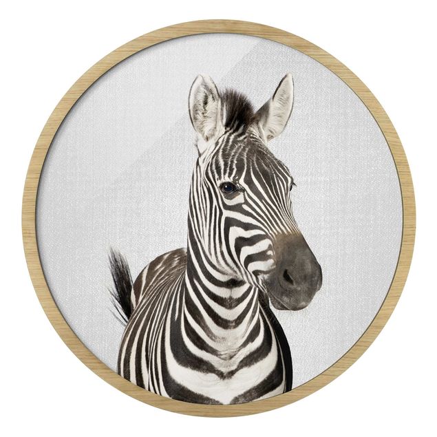 Circular framed print - Zebra Zilla