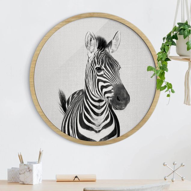 Framed prints round Zebra Zilla Black And White