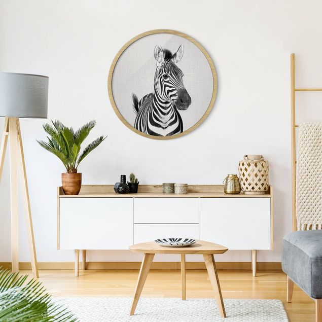 Circular framed print - Zebra Zilla Black And White