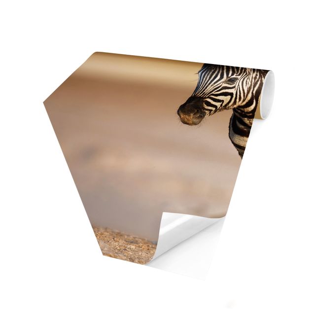 Self-adhesive hexagonal pattern wallpaper - Zebra Foal