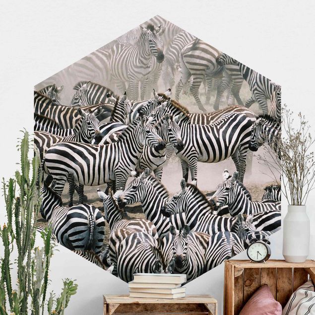 Hexagonal wallpapers Zebra Herd