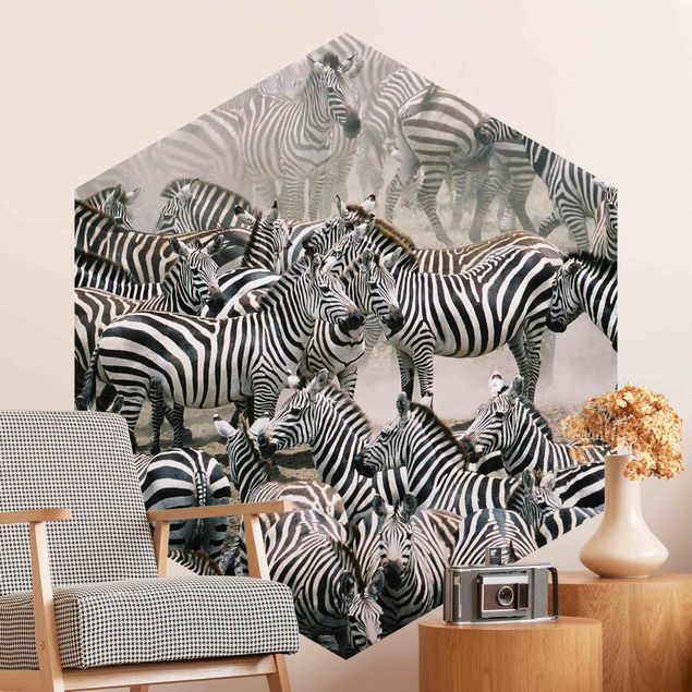 Wallpapers Zebra Herd