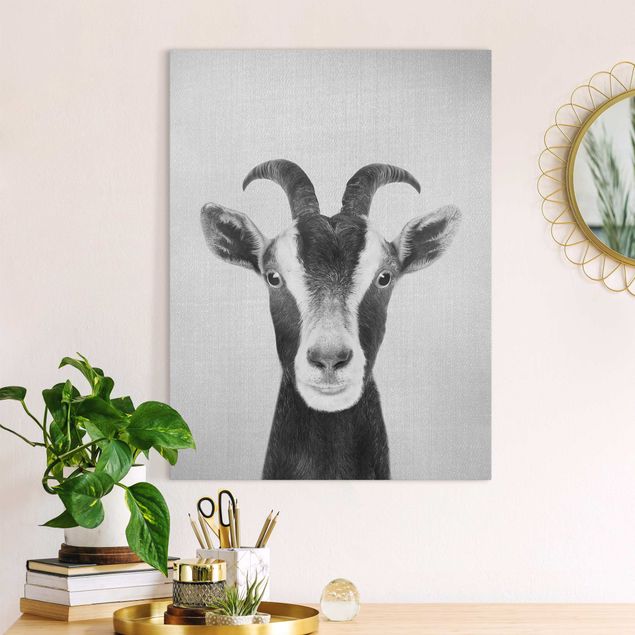 Canvas print - Goat Zora Black And White - Portrait format 3:4
