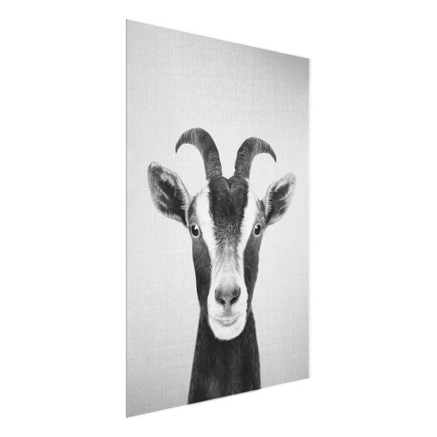 Glass print - Goat Zora Black And White
