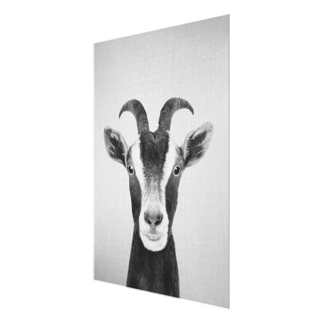 Glass print - Goat Zora Black And White