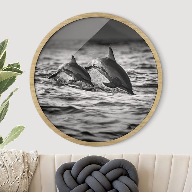 Framed prints round Two Jumping Dolphins