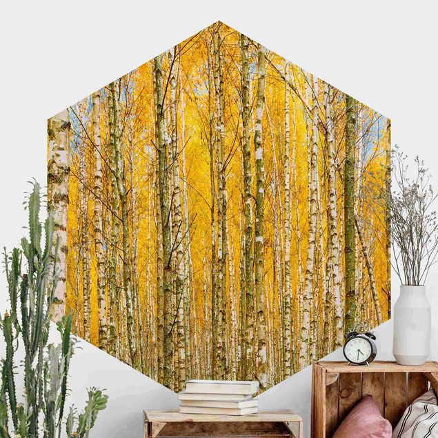 Hexagonal wallpapers Between Yellow Birch Trees