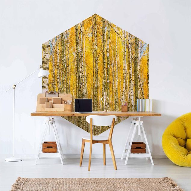 Self-adhesive hexagonal wall mural - Between Yellow Birch Trees