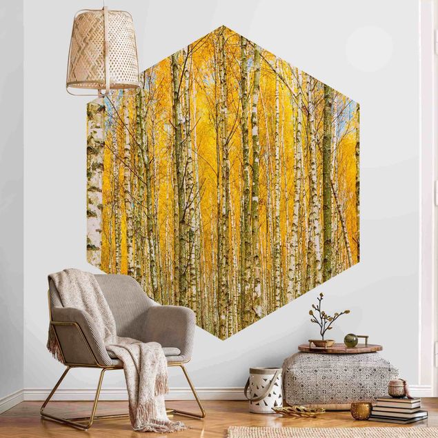 Self-adhesive hexagonal wall mural - Between Yellow Birch Trees