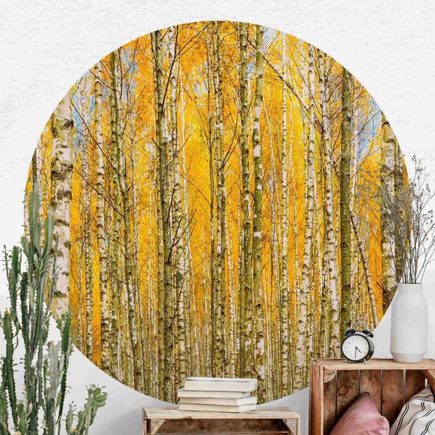 Wallpapers Between Yellow Birch Trees