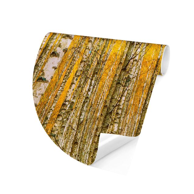 Self-adhesive round wallpaper - Between Yellow Birch Trees