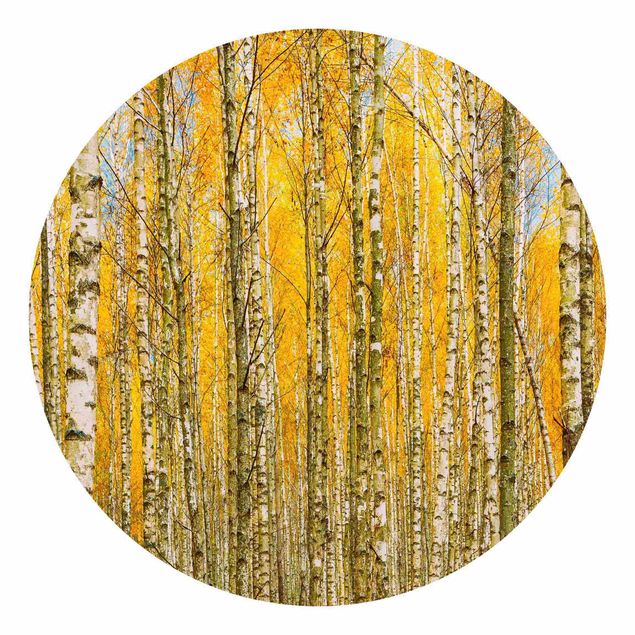 Self-adhesive round wallpaper - Between Yellow Birch Trees
